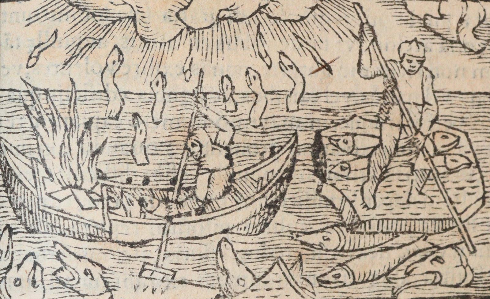 Olaus Magnus. | Bild Nr.5