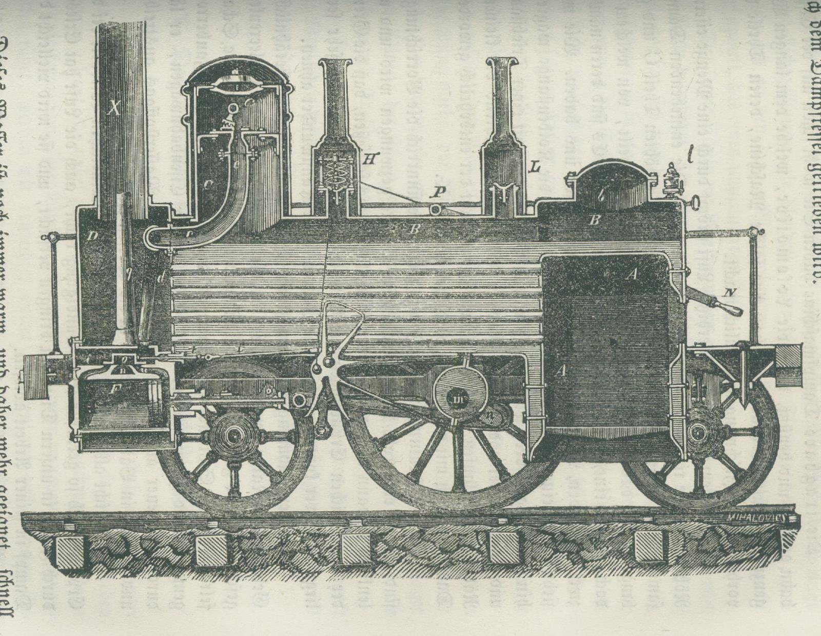 Stamm,F. | Bild Nr.2