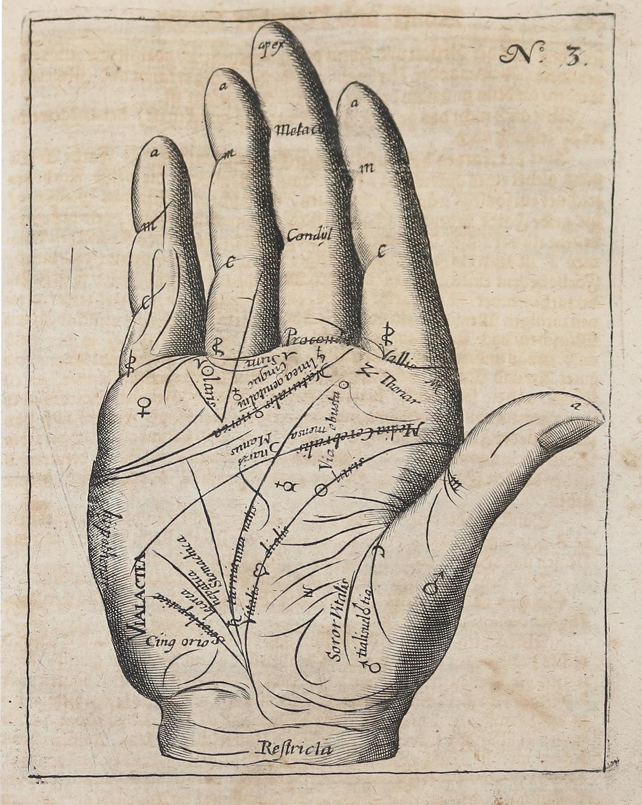 Hildebrand,W. | Bild Nr.4