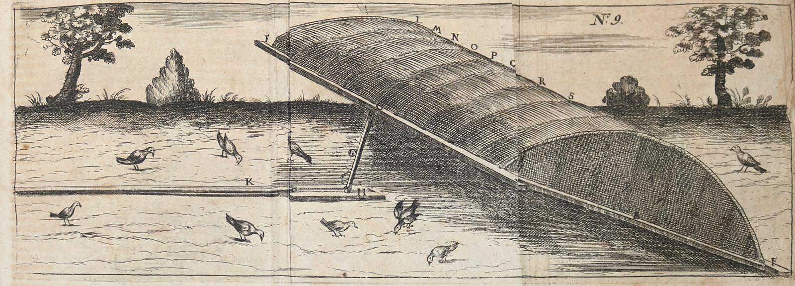 Hildebrand,W. | Bild Nr.5