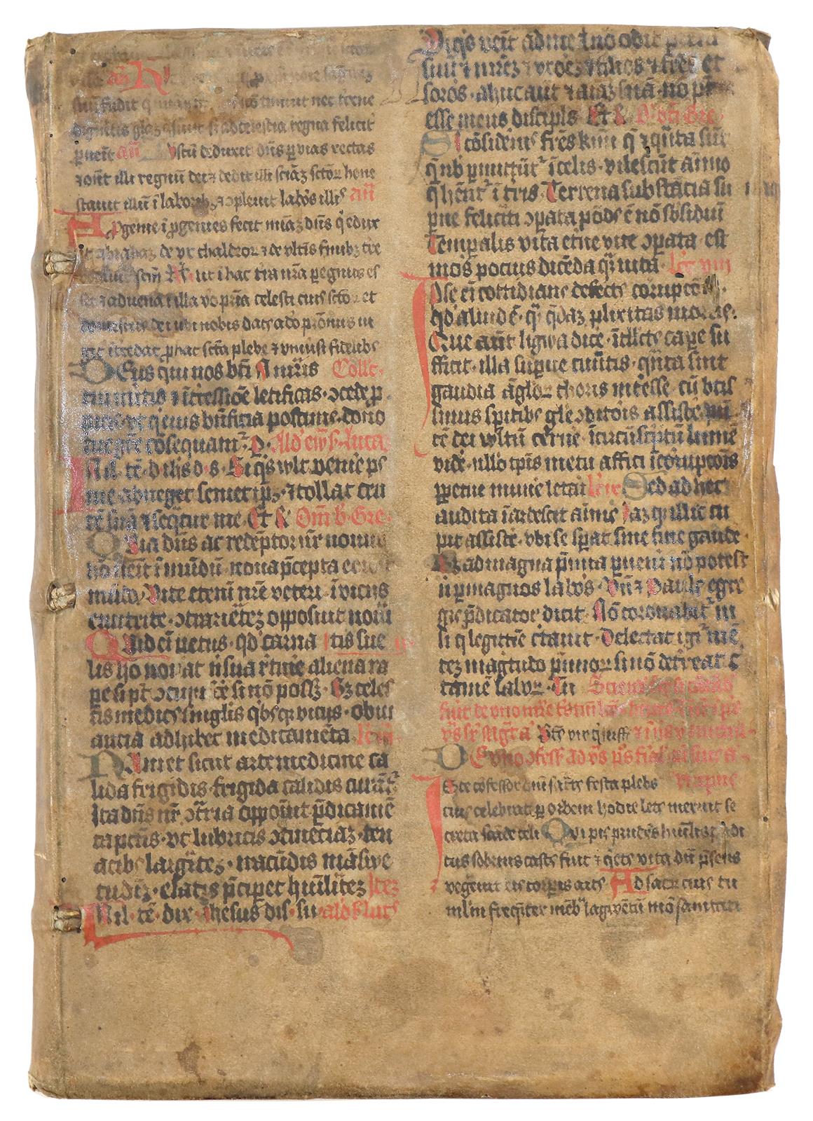 (Saur,A.) | Bild Nr.2