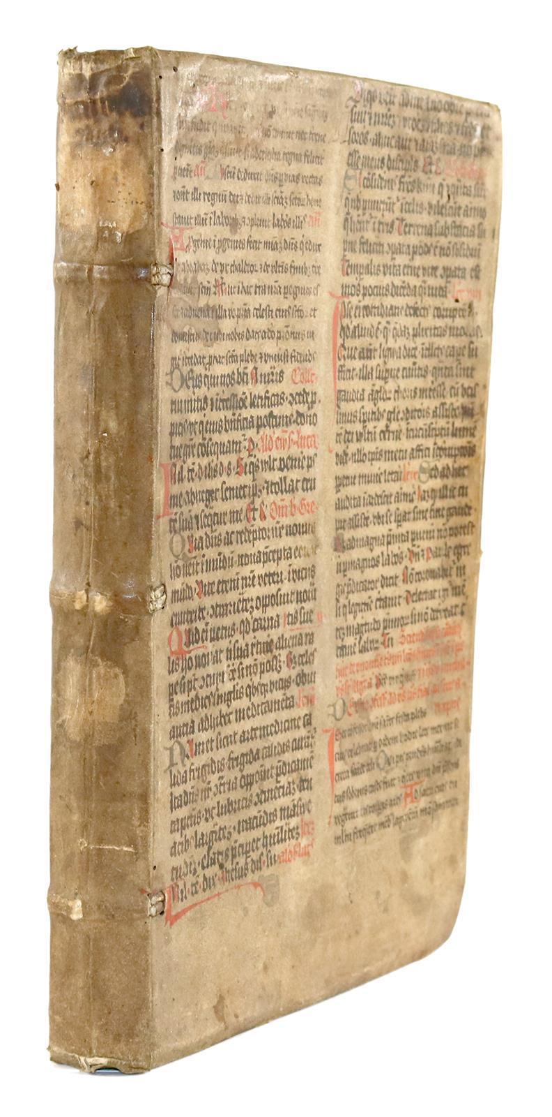 (Saur,A.) | Bild Nr.3