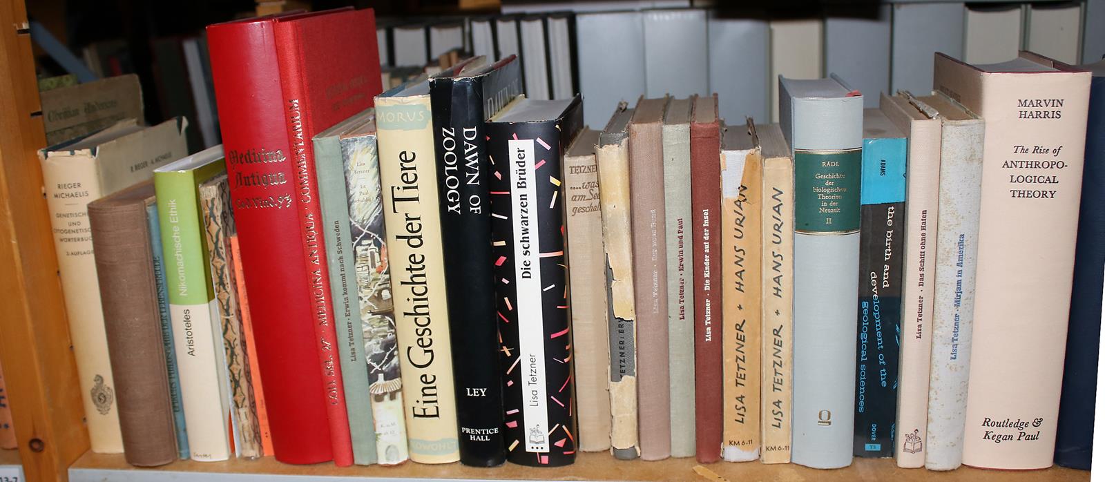 Konvolut | Bild Nr.4