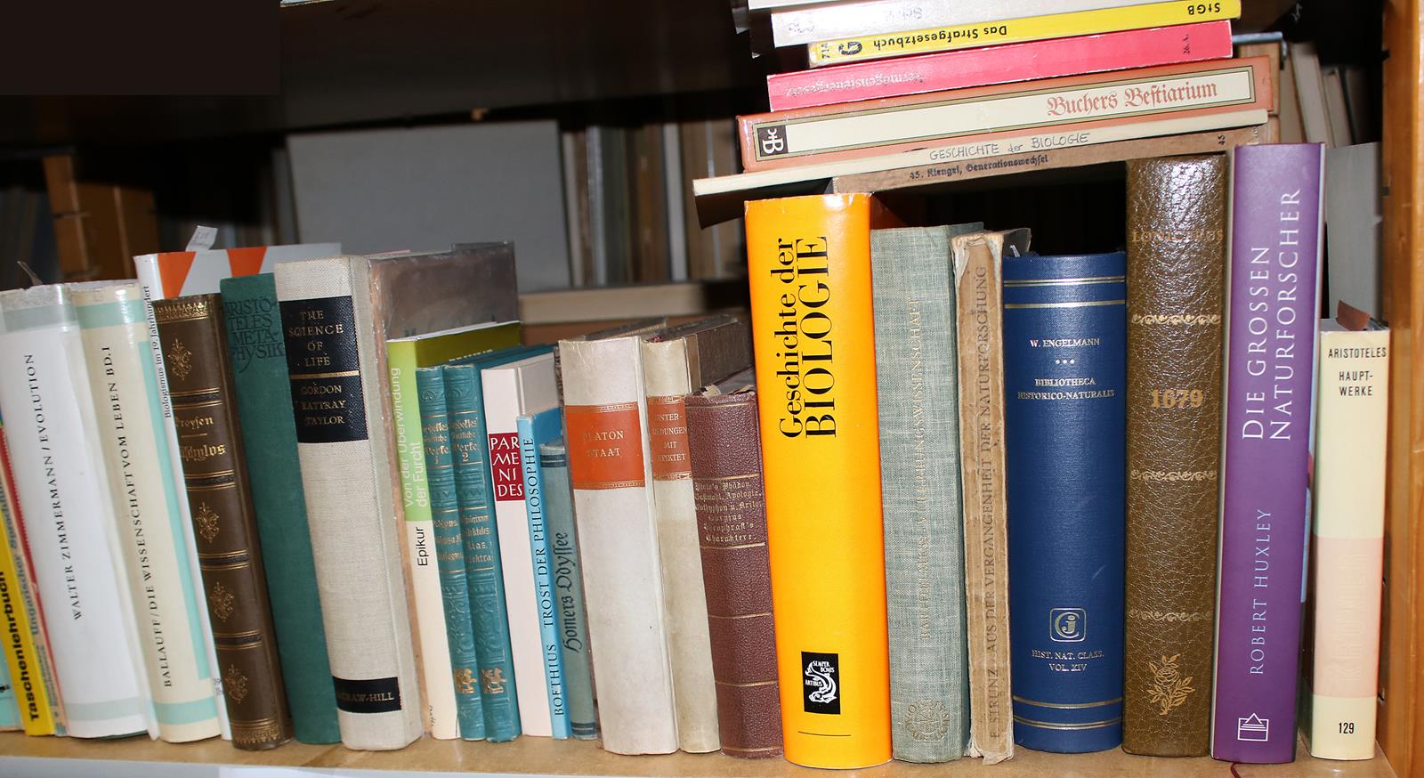 Konvolut | Bild Nr.5