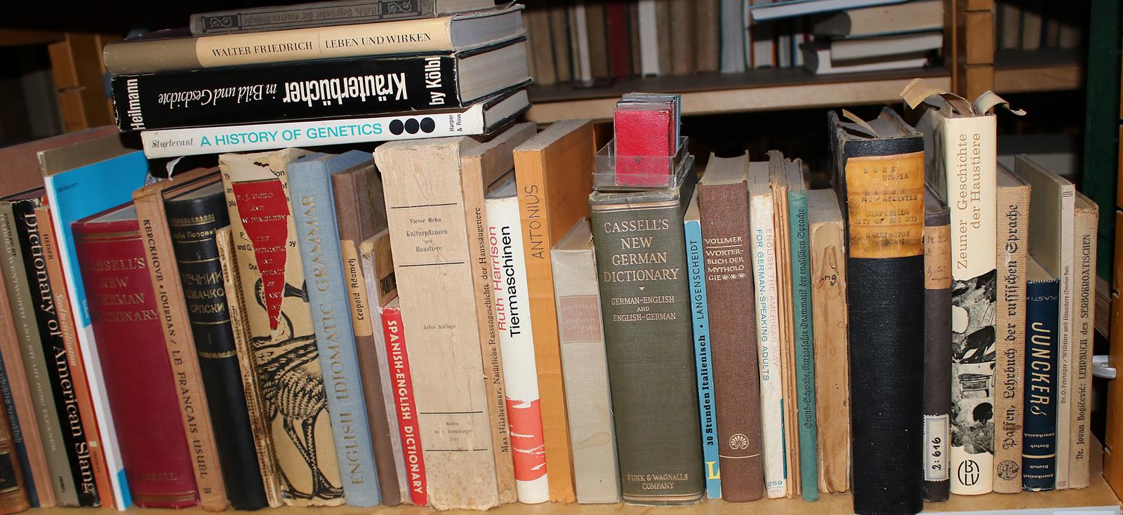 Konvolut | Bild Nr.7