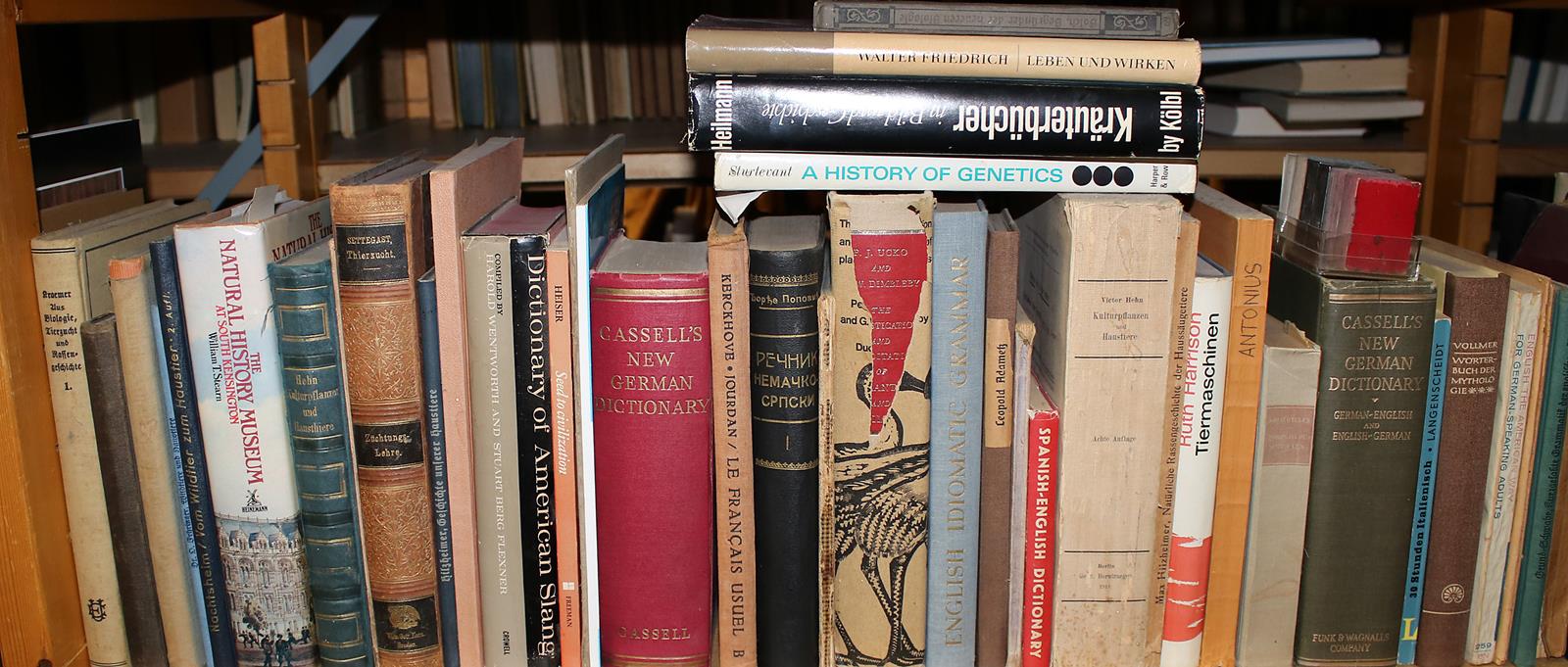 Konvolut | Bild Nr.8