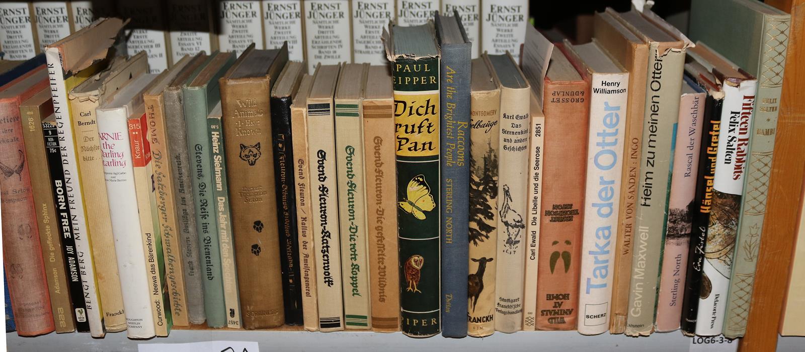 Konvolut | Bild Nr.21