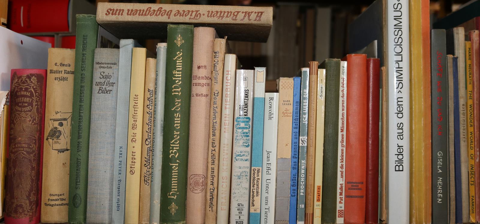 Konvolut | Bild Nr.22