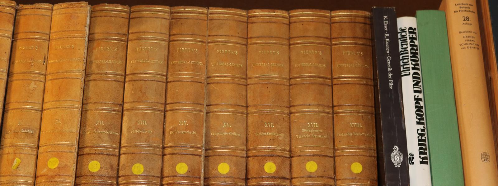 Konvolut | Bild Nr.25