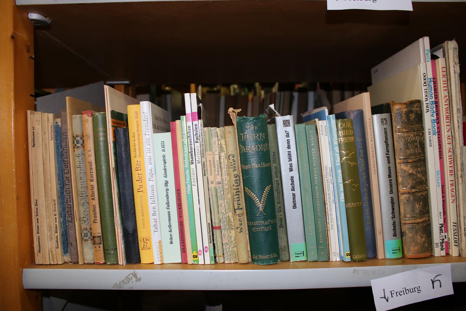 Konvolut | Bild Nr.46