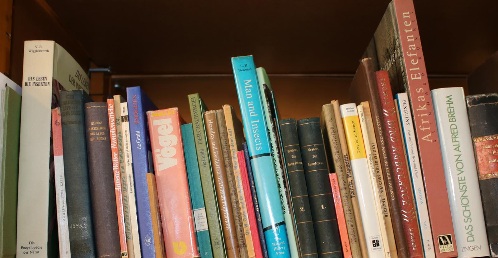 Konvolut | Bild Nr.2