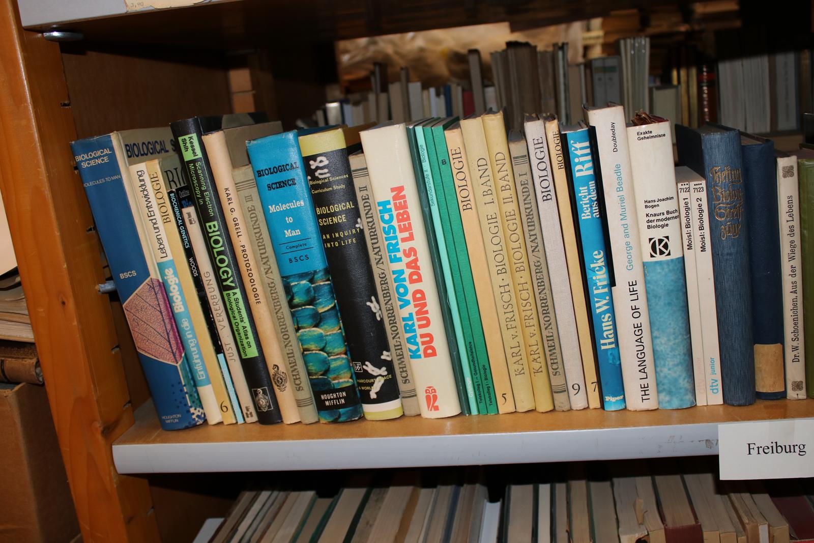 Konvolut | Bild Nr.10