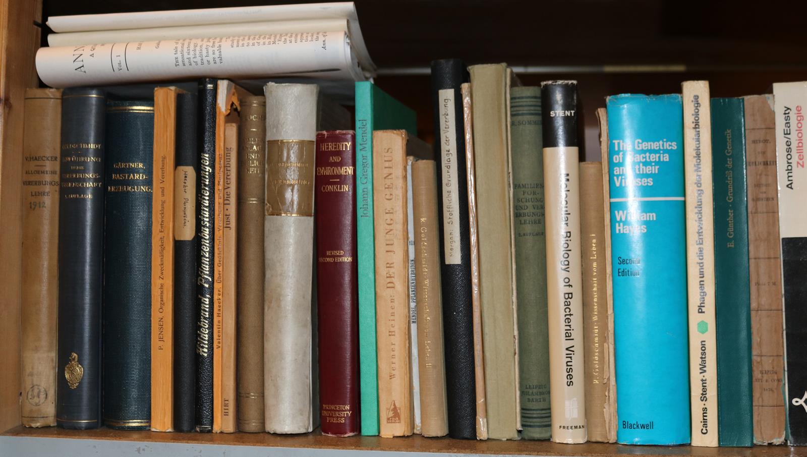 Konvolut | Bild Nr.18