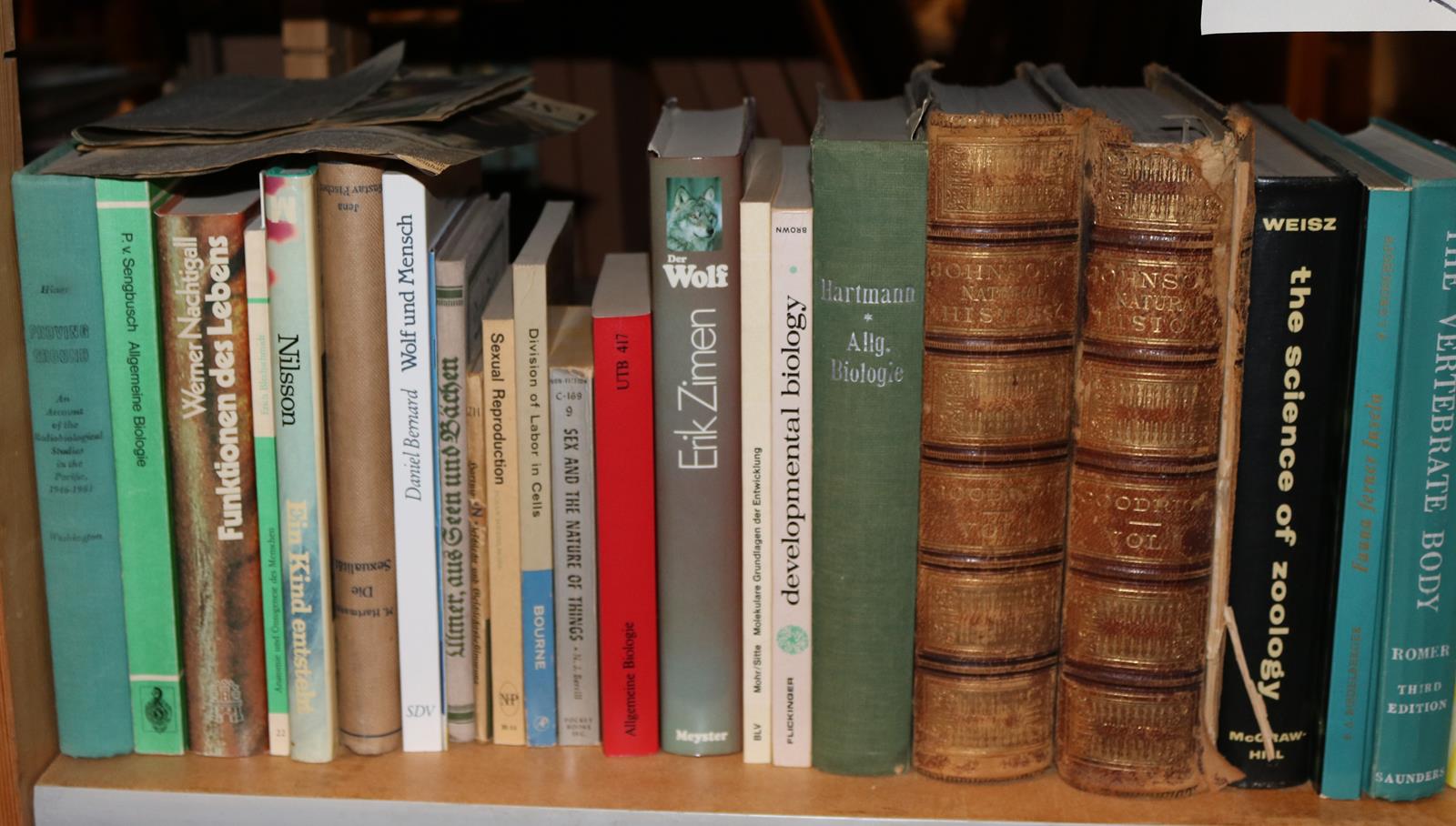 Konvolut | Bild Nr.20