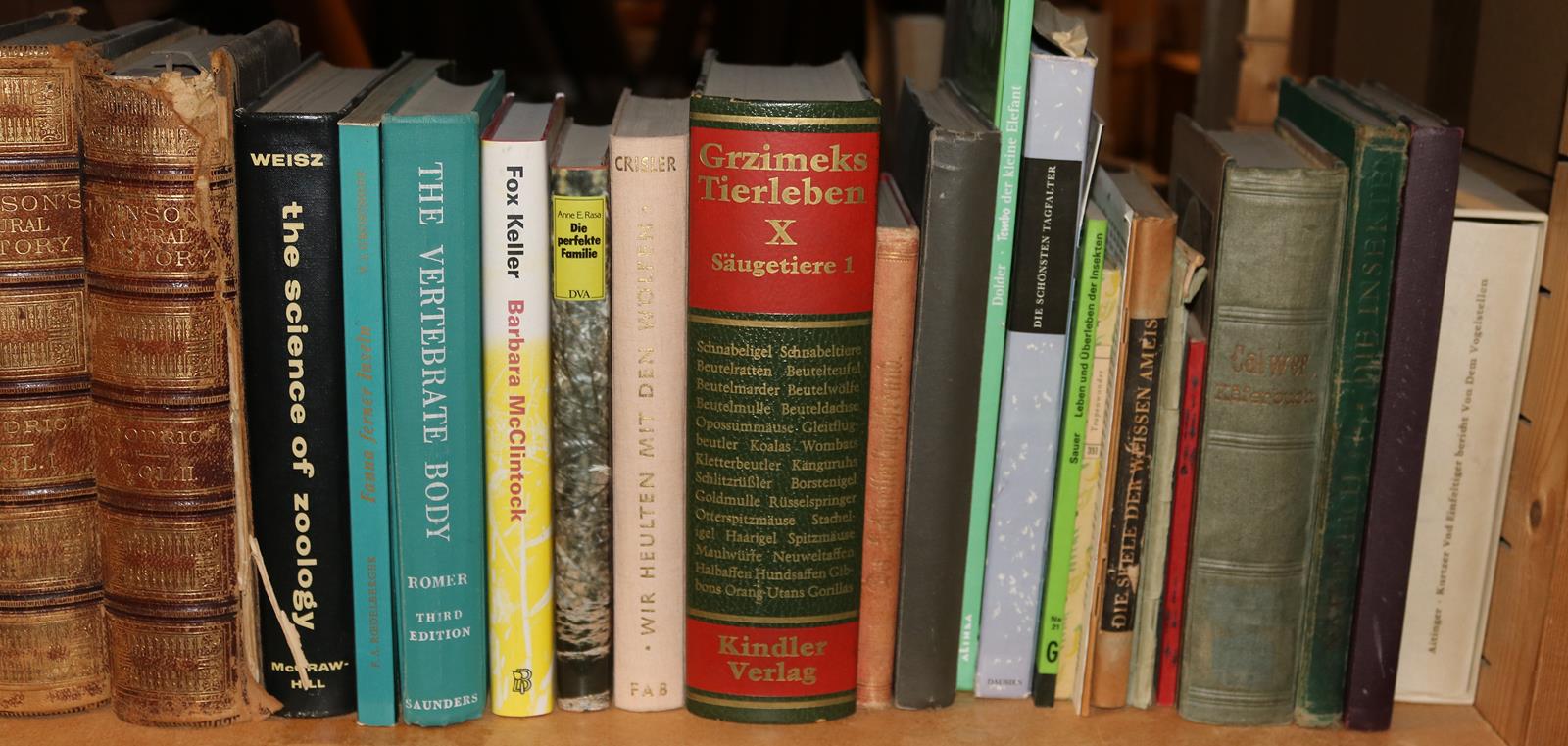 Konvolut | Bild Nr.21