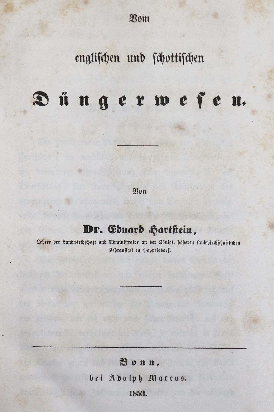 Bomarsund. | Bild Nr.5