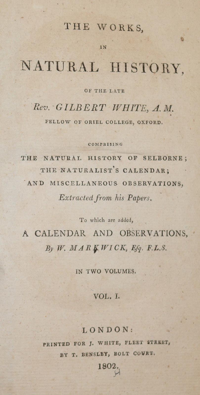 Rückgänge | Bild Nr.2