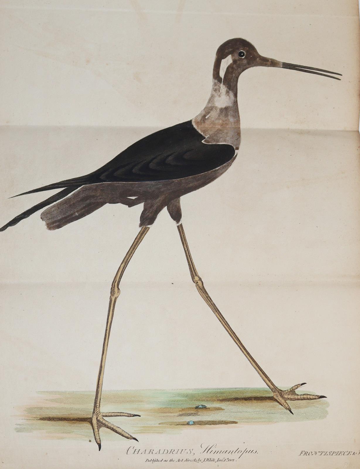 Rückgänge | Bild Nr.3