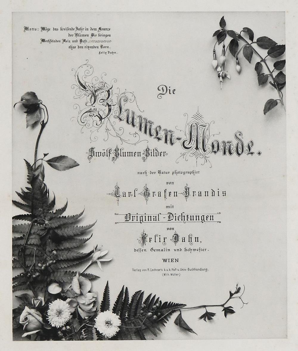 Rückgänge | Bild Nr.5