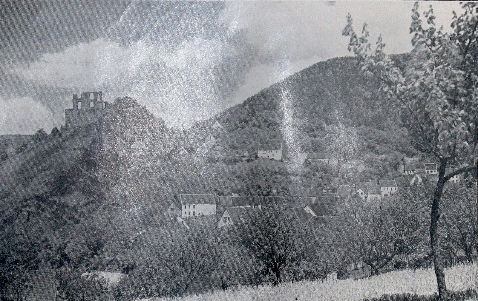 Rückgänge | Bild Nr.13