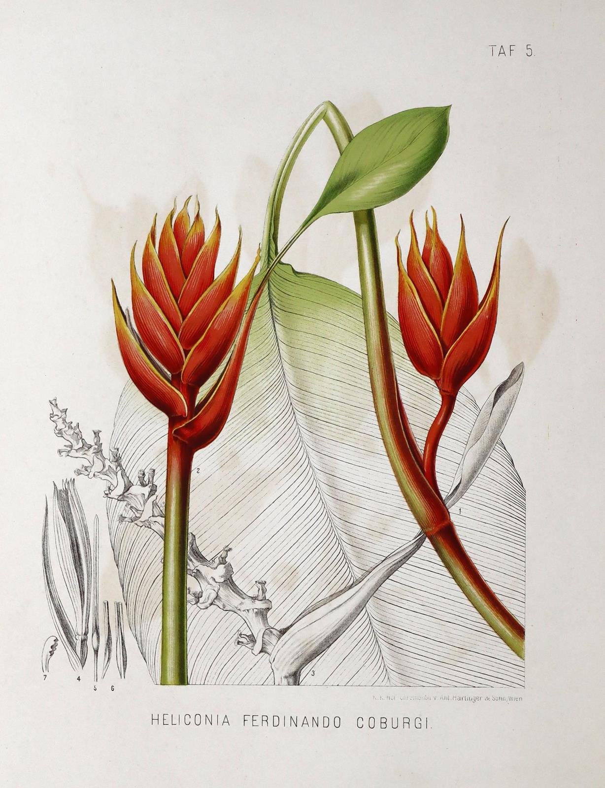 Rückgänge | Bild Nr.6