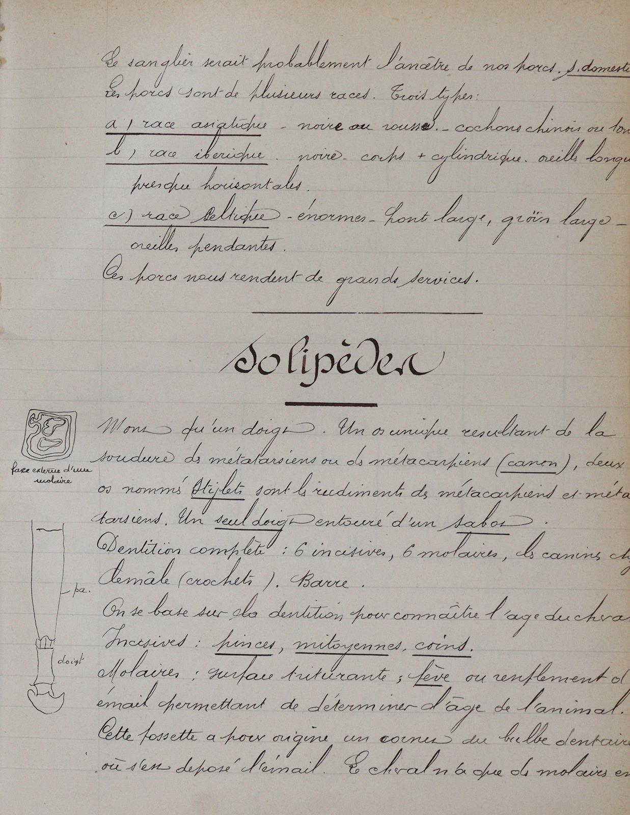 zurückgezogen | Bild Nr.1