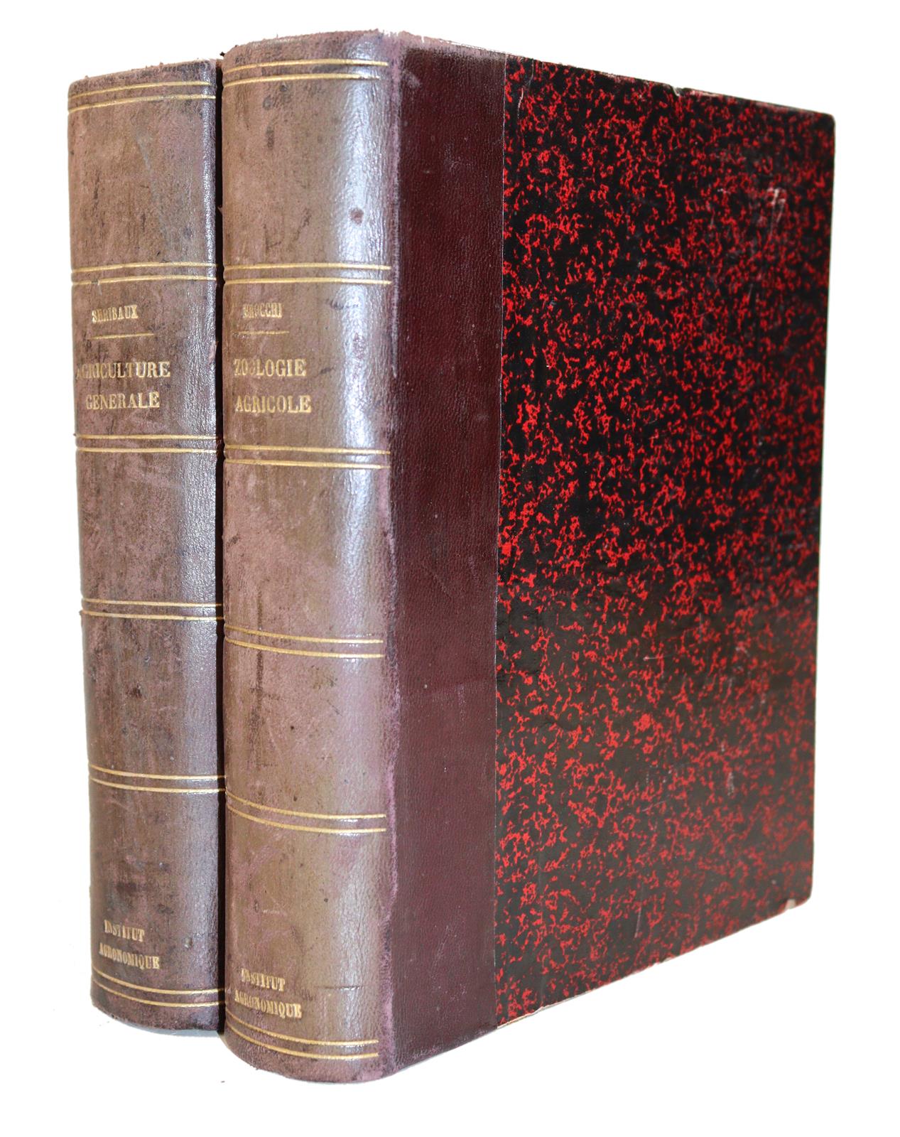 zurückgezogen | Bild Nr.2