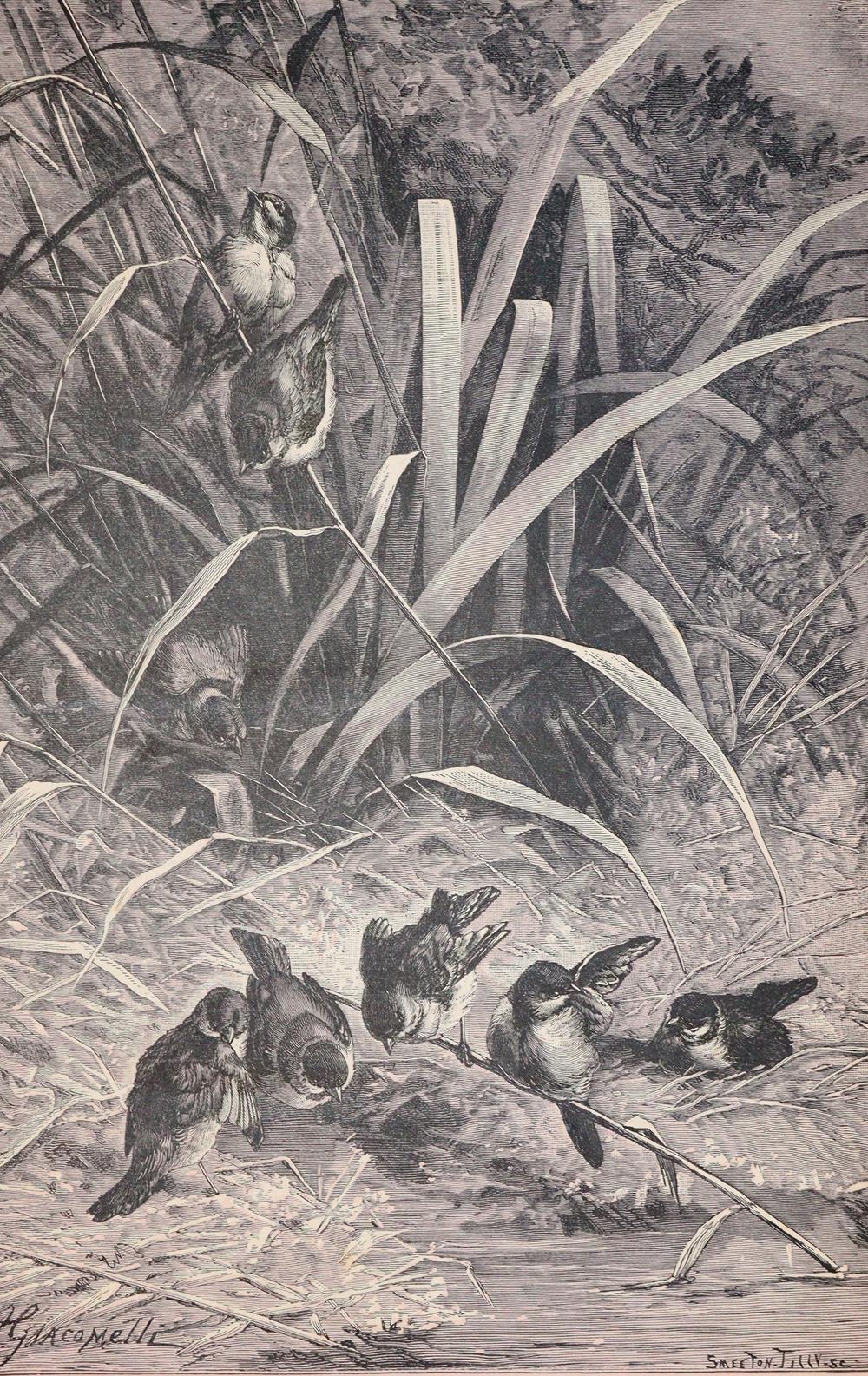 zurückgezogen | Bild Nr.4