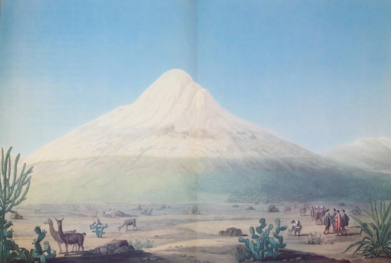 Rückgänge | Bild Nr.7