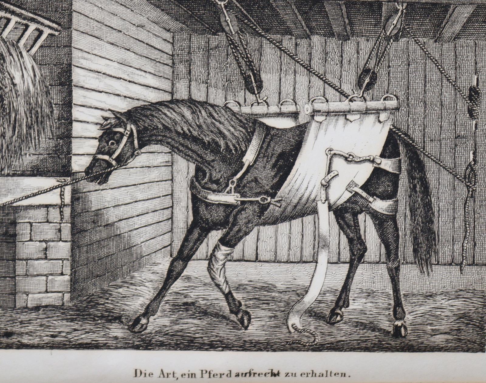 Apperley,C.J. | Bild Nr.2