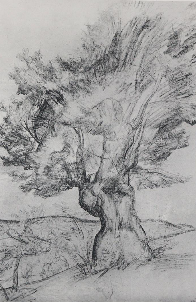 Civilta. | Bild Nr.4