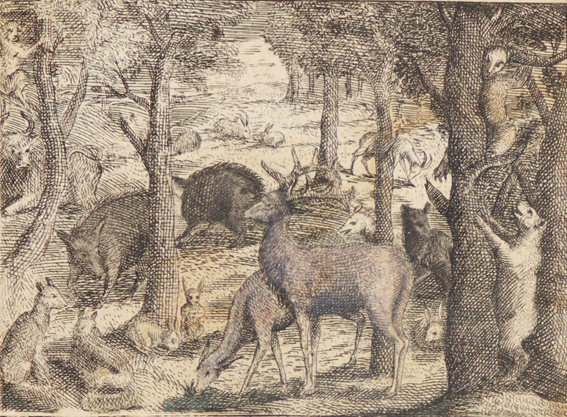 (Du Fouilloux,J. | Bild Nr.2