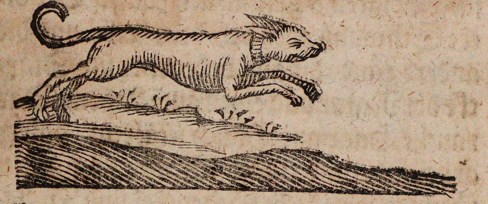 (Becher,J.J. | Bild Nr.2