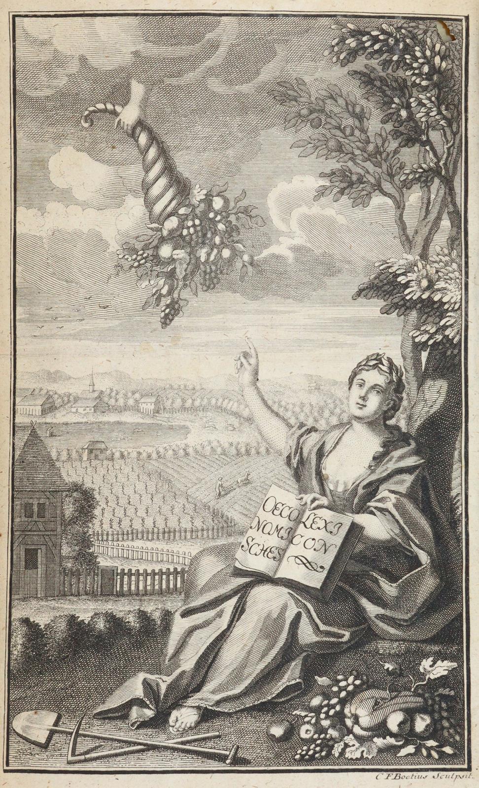 Compendieuses und Nutzbares Haushaltungs-Lexicon, | Bild Nr.2