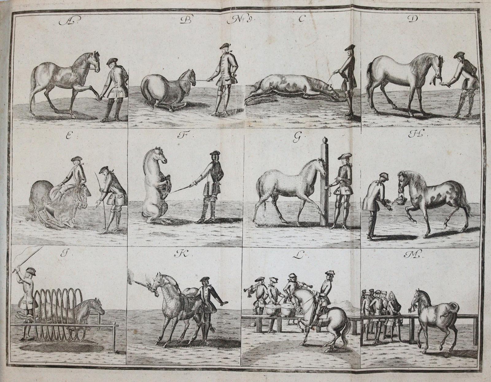 Florinus,F.P. | Bild Nr.4