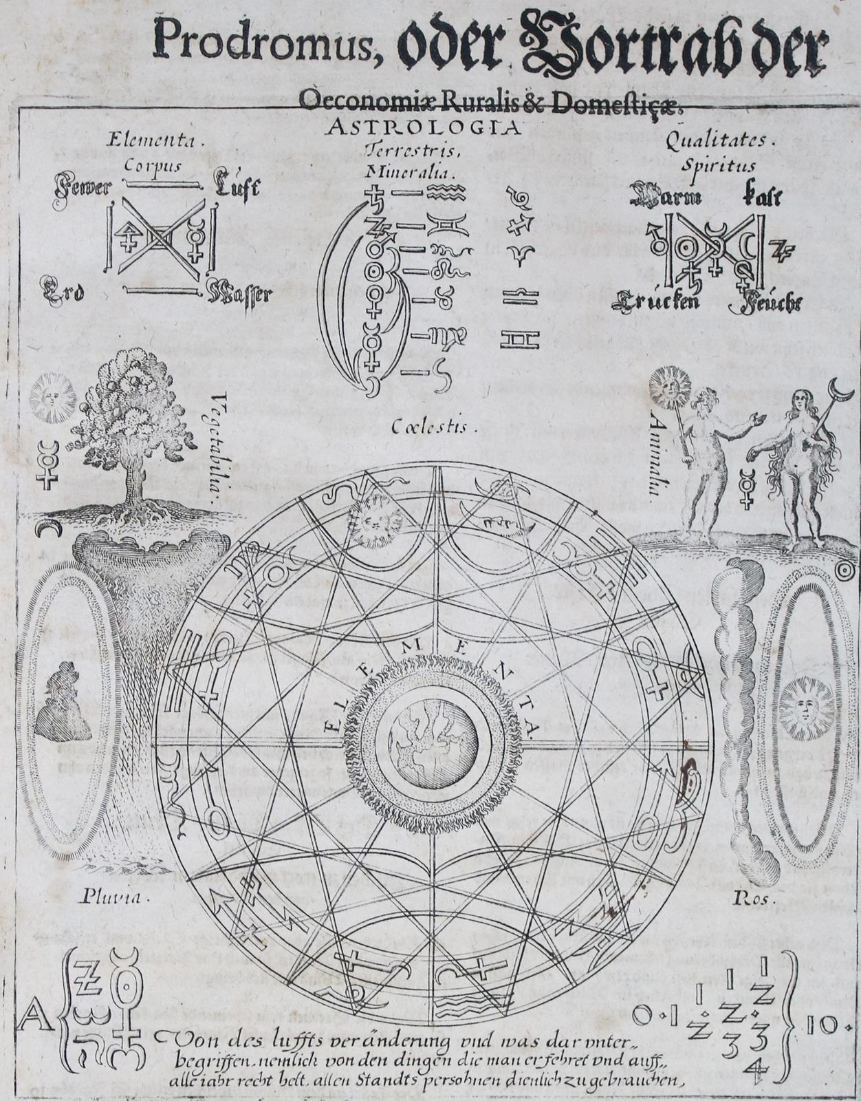 Coler,J. | Bild Nr.3
