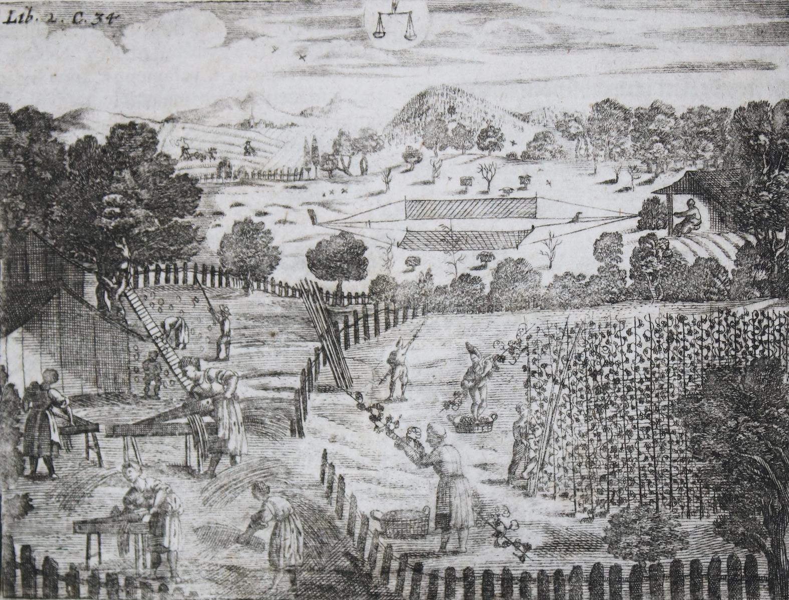 (Hohberg,W.H.v.). | Bild Nr.2