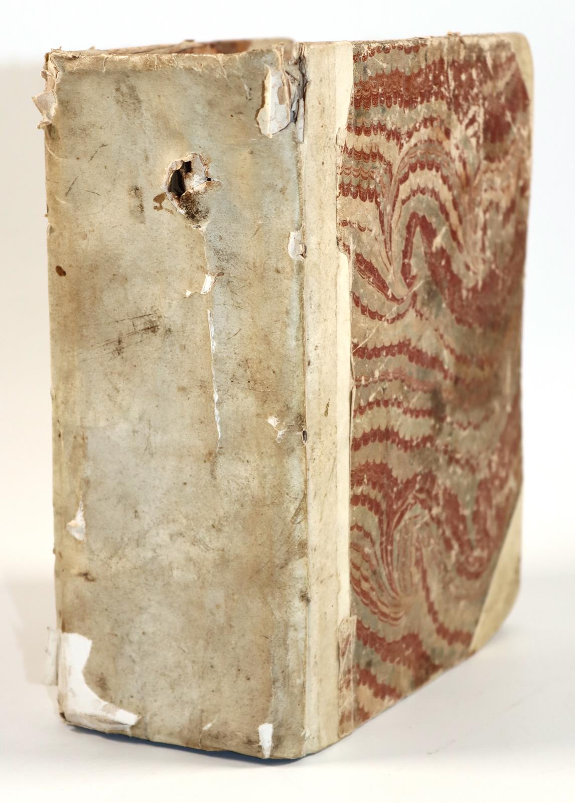 (Endter,S.M.). | Bild Nr.3