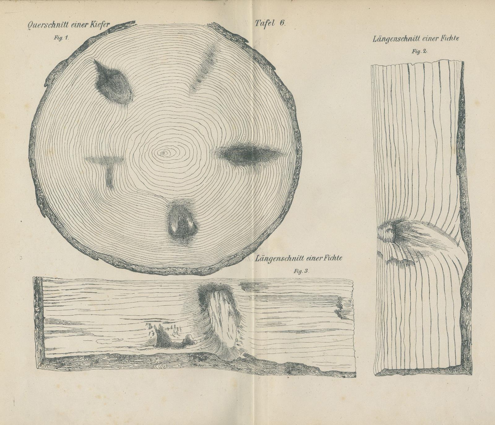 Sieben Werke. | Bild Nr.3