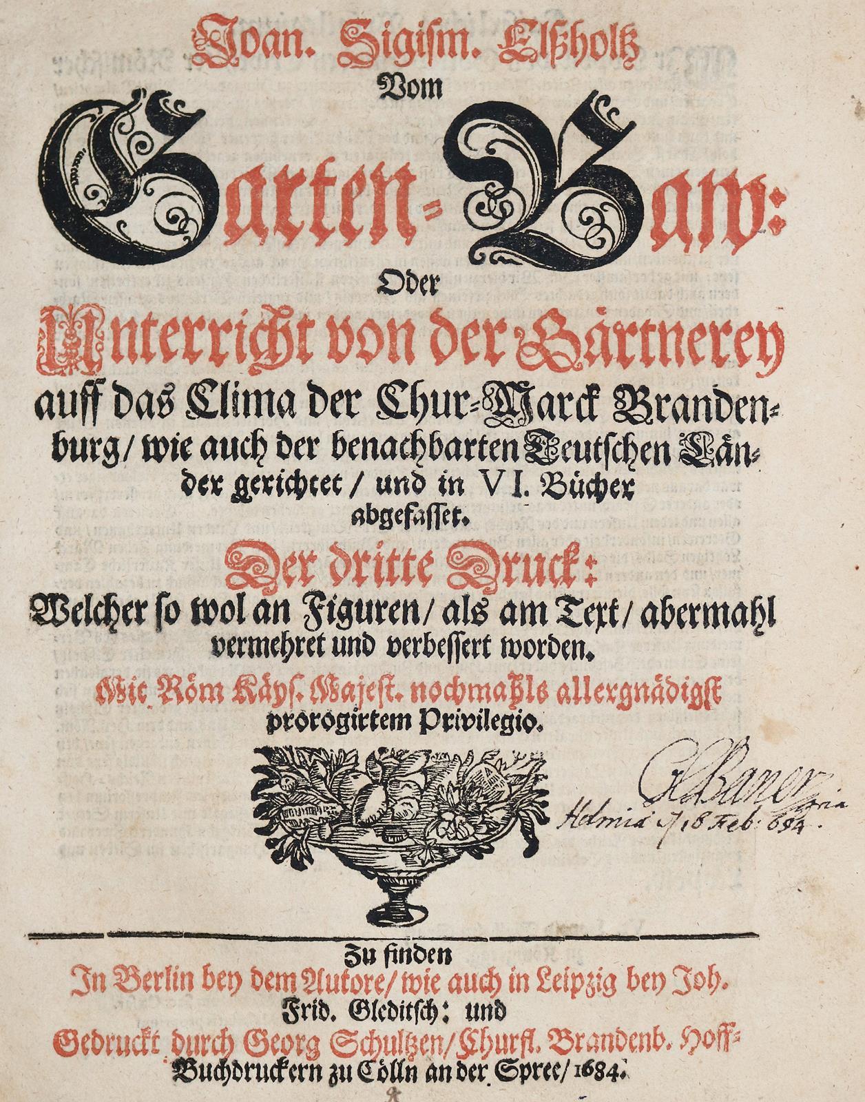 Elsholtz,J.S. | Bild Nr.1