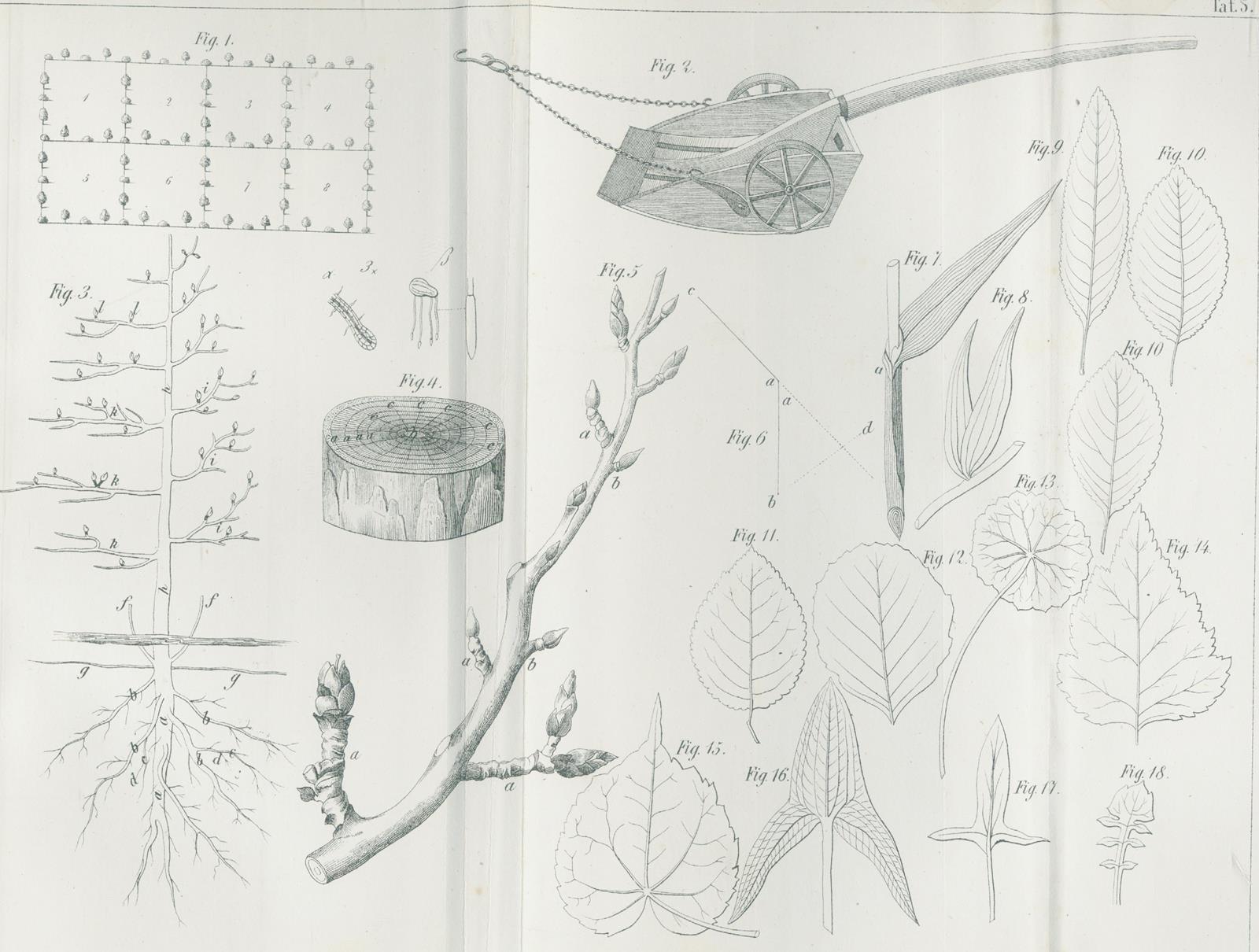 Hlubek,F.X. | Bild Nr.2