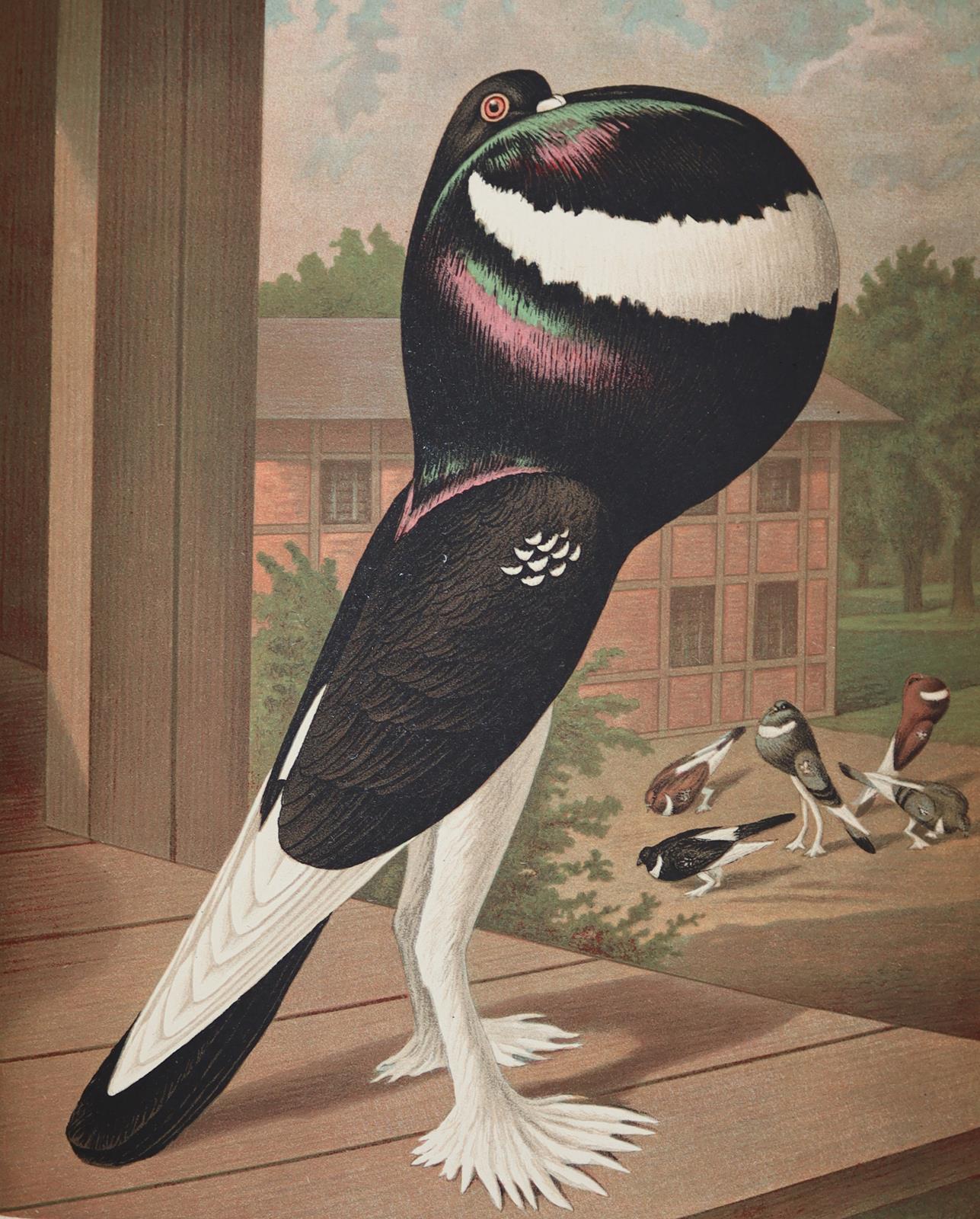 Prütz,G. (Hrsg.), | Bild Nr.5