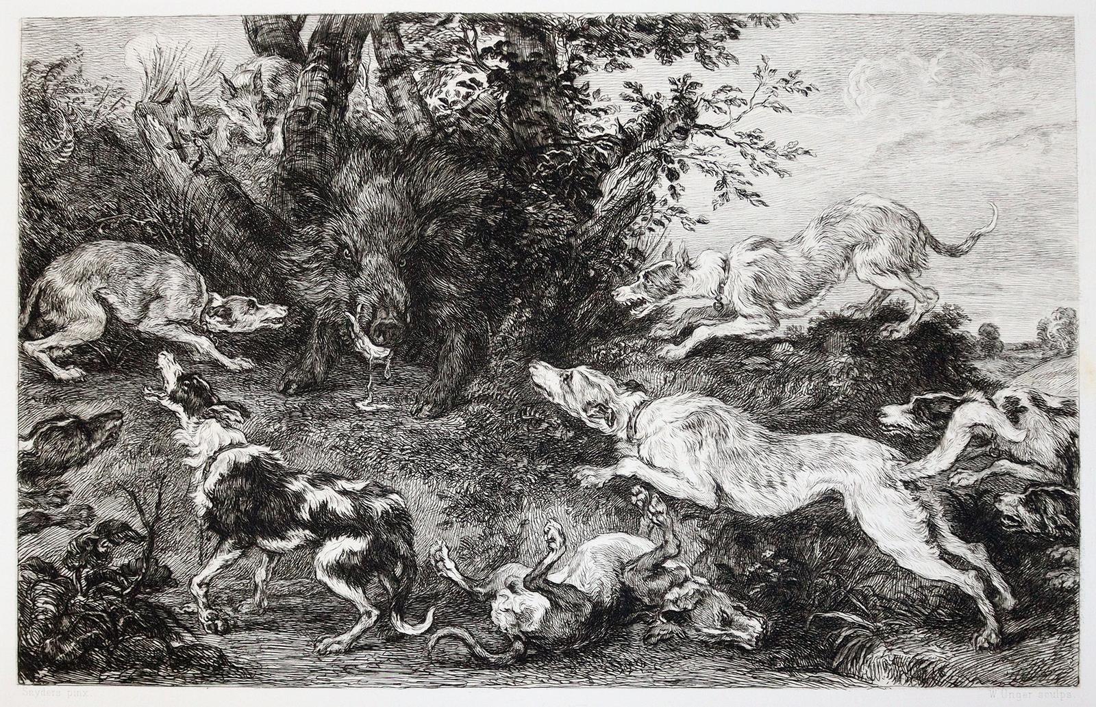 Unger, W., | Bild Nr.2