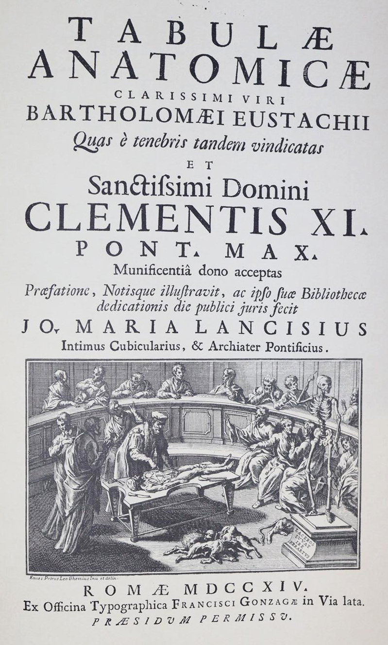 Medizin. | Bild Nr.1