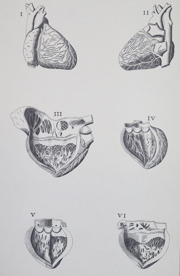 Medizin. | Bild Nr.2