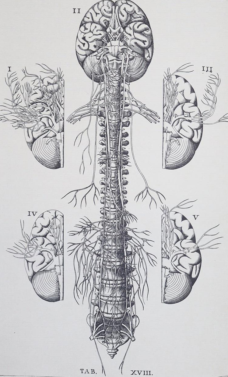 Medizin. | Bild Nr.3