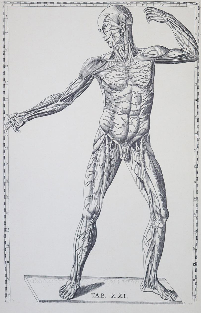 Medizin. | Bild Nr.4