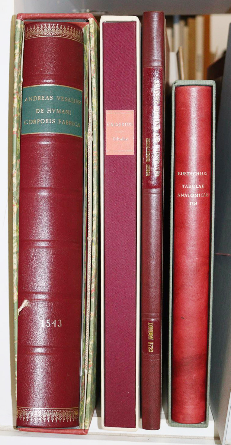 Medizin. | Bild Nr.5