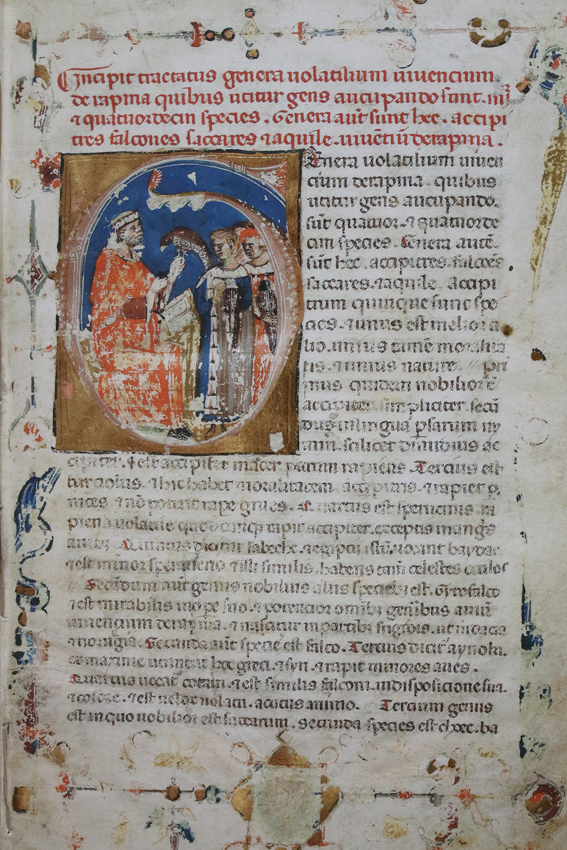 Wiener Moamin. | Bild Nr.1