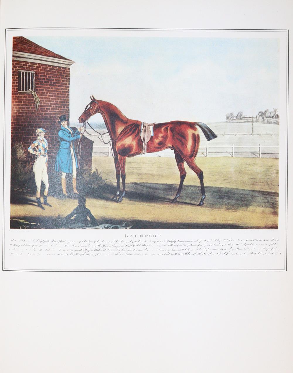 Sammlung | Bild Nr.1